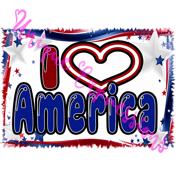I Love America Graphic T-Shirt